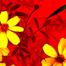 【视频使用教程】新手入门的ddos攻击防御手段