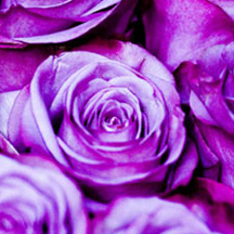 批发价格实惠的手机攻击器APP下载